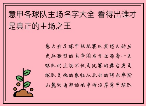 意甲各球队主场名字大全 看得出谁才是真正的主场之王